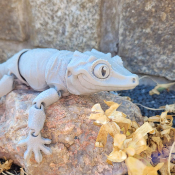 MMM Gargoyle Gecko